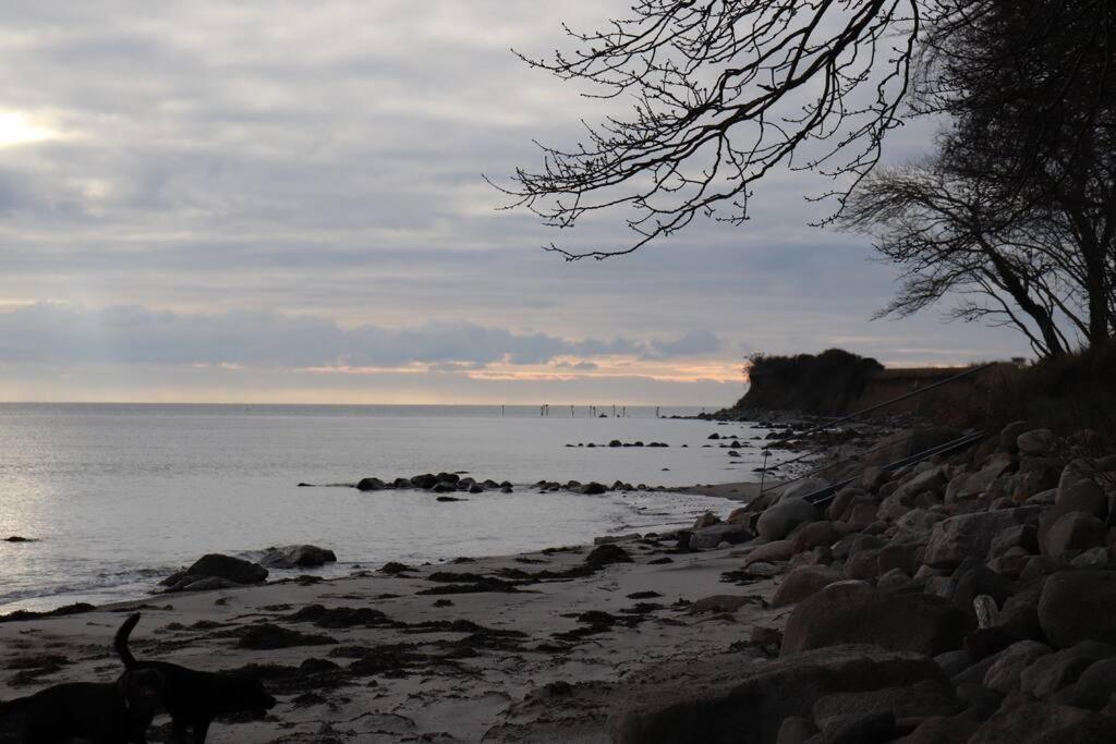 Schlei Fjord Light * Fleckeby